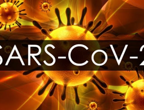 15 priložnosti, ki nam jih omogoča Korona virus (SARS-CoV-2)